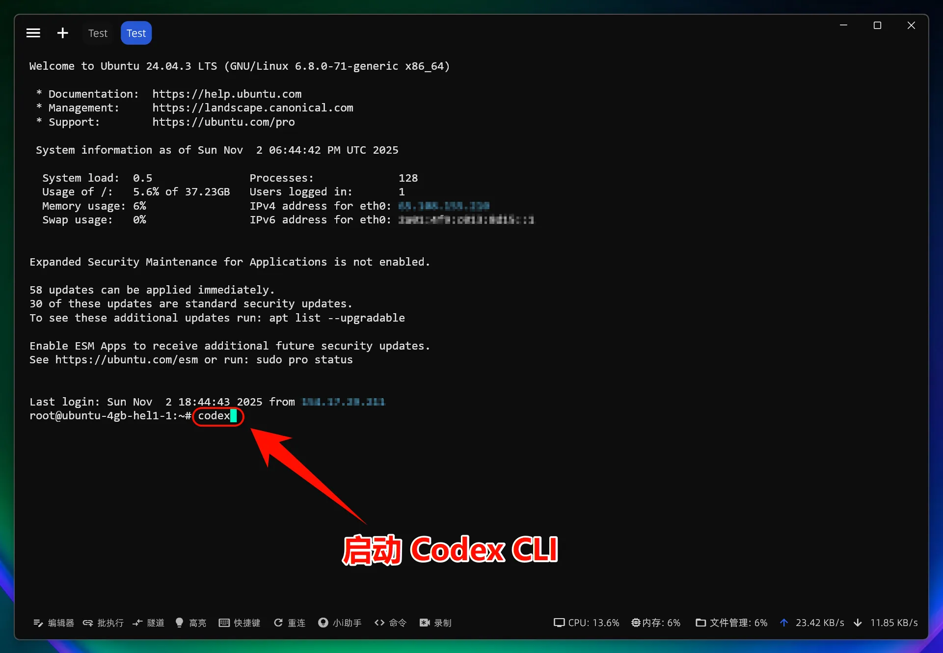OpenAI Codex CLI | New API